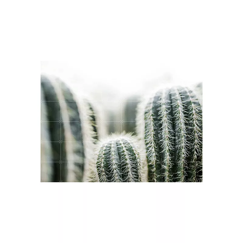 Cactus and leaves - large