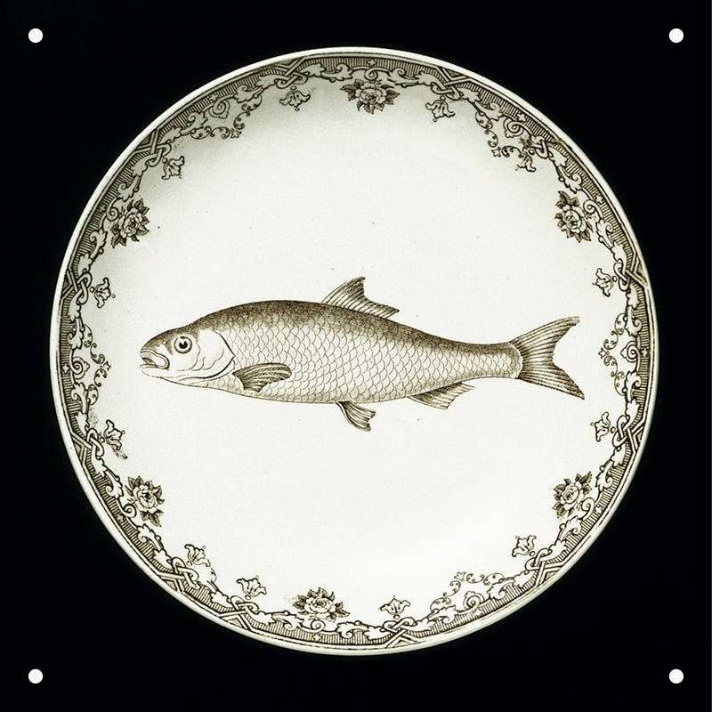 V&A Plates - large