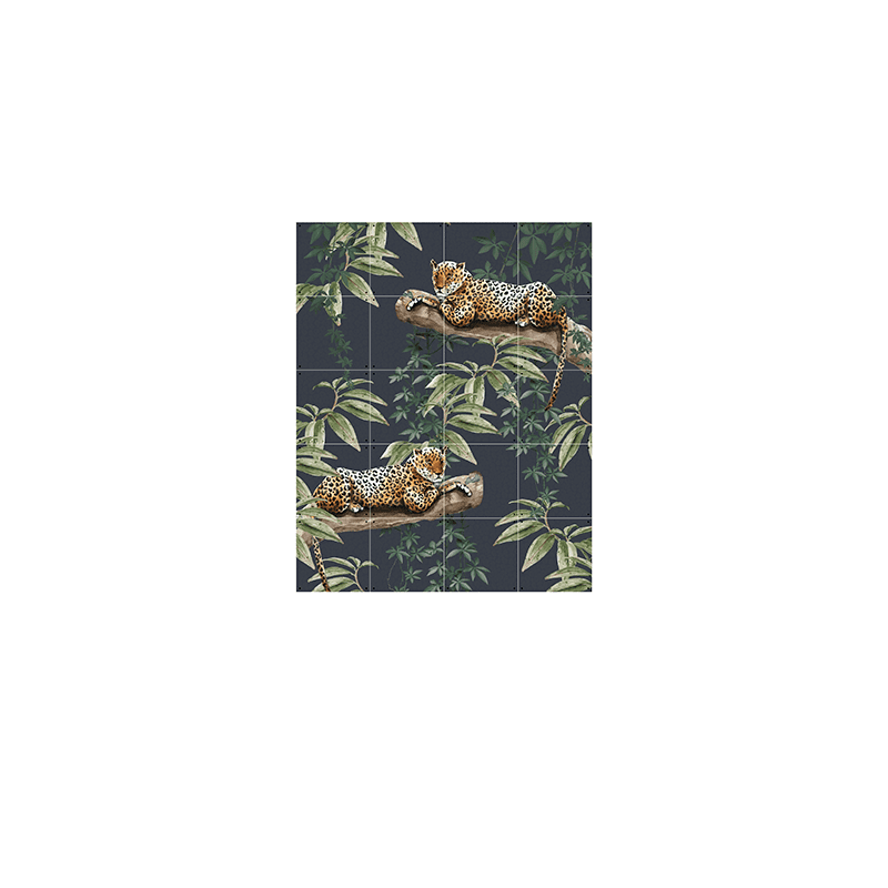 Chilling in the jungle & Into the wild - small