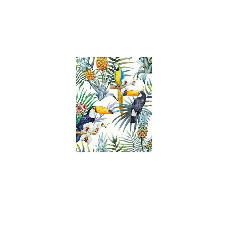 Tiger jungle & Toucan family - small