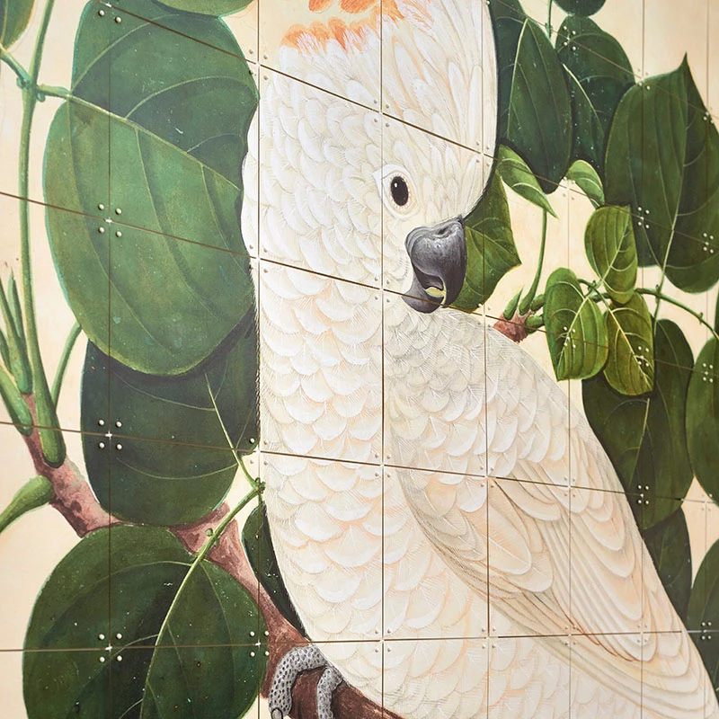 Cockatoo - large