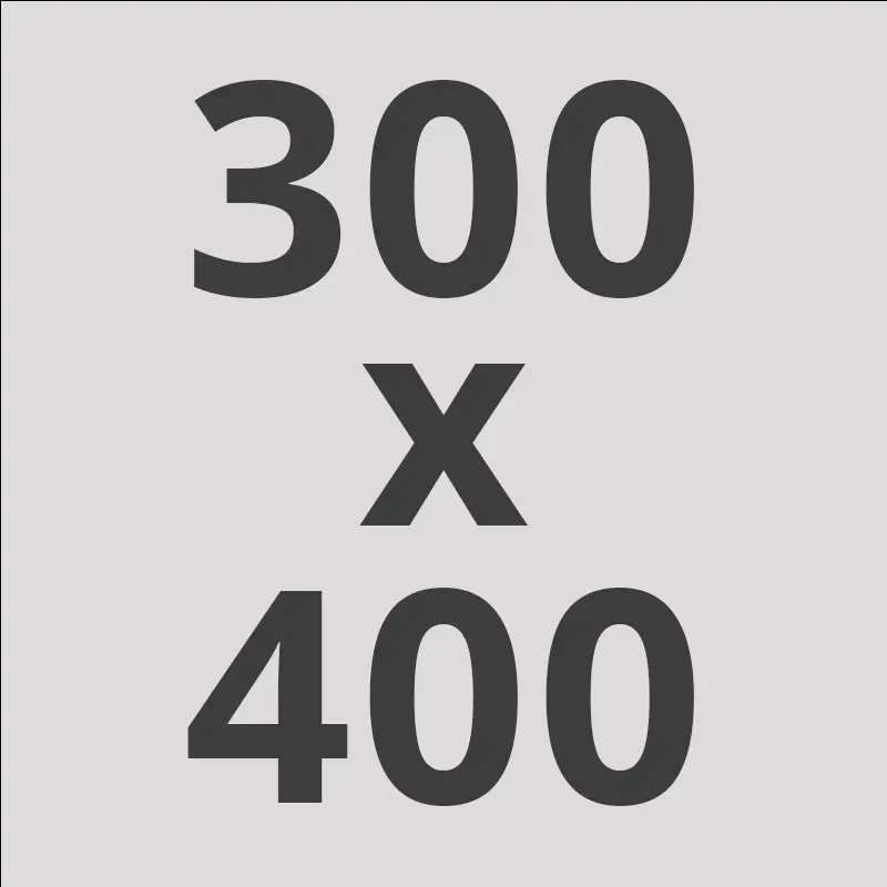 Spot vloerkleed - 300 x 400