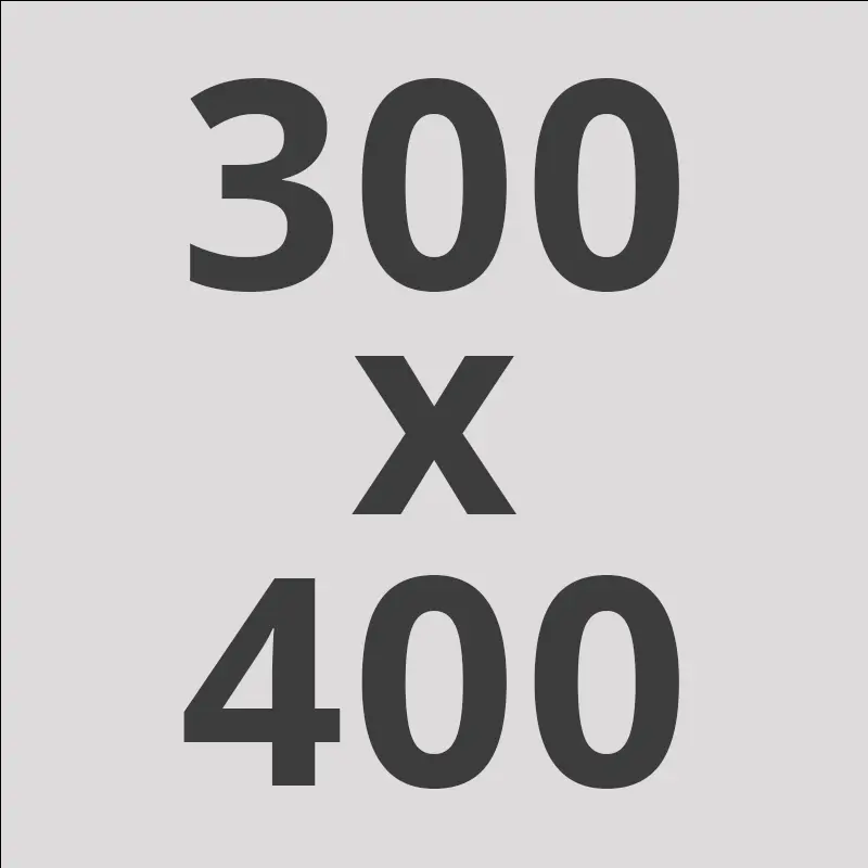 Bitts vloerkleed - 300 x 400