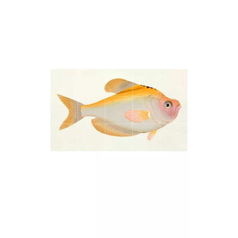 Yellow Fish - small
