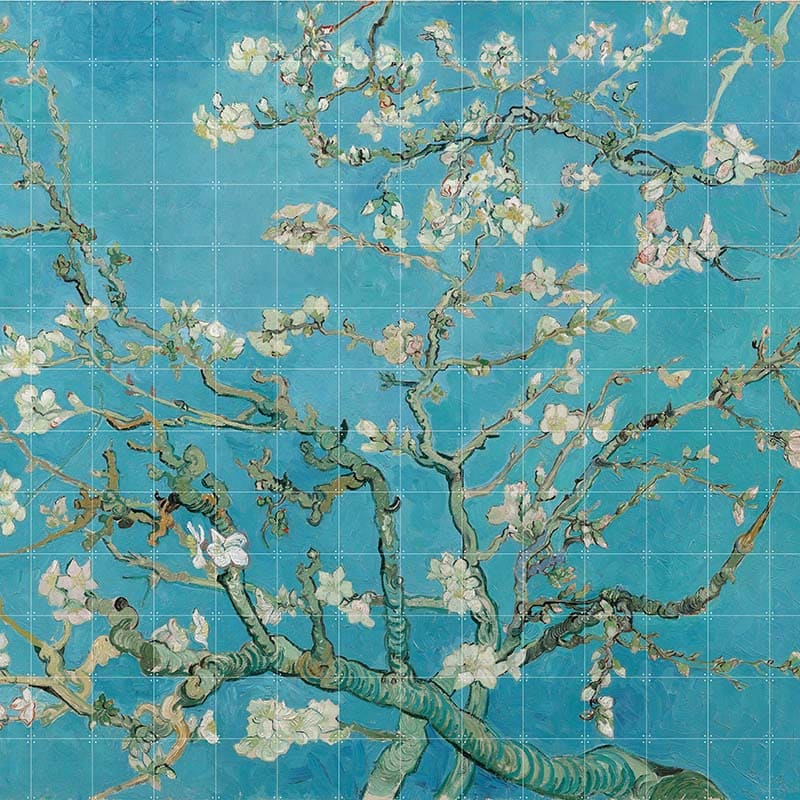 Almond Blossom - extra large