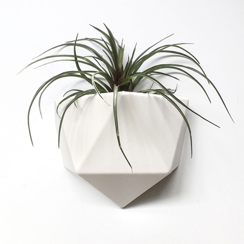 Magnetische plantenbak - White