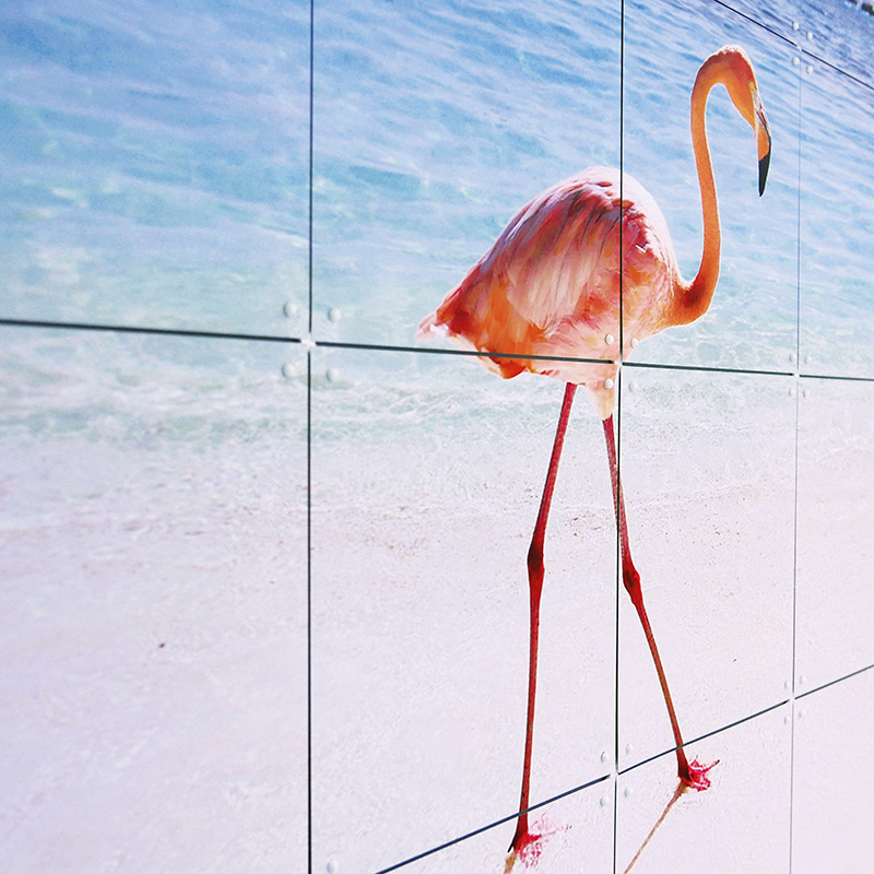 Pink Paradise - large