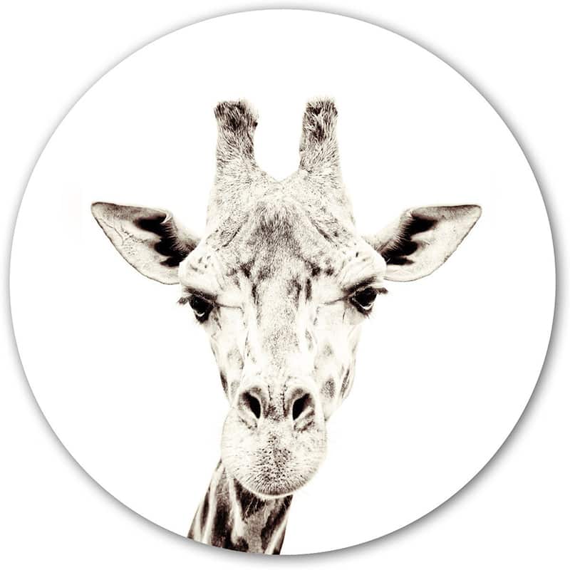 Magneet sticker - Giraf