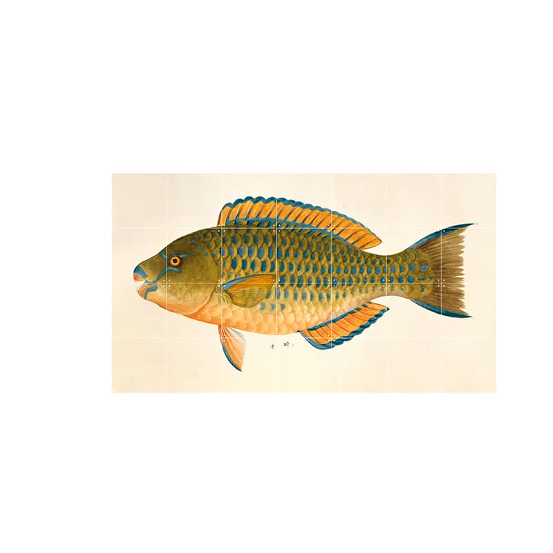 Green Fish