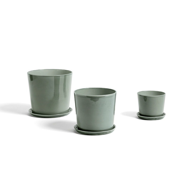 Botanical Family Set L - Dusty green