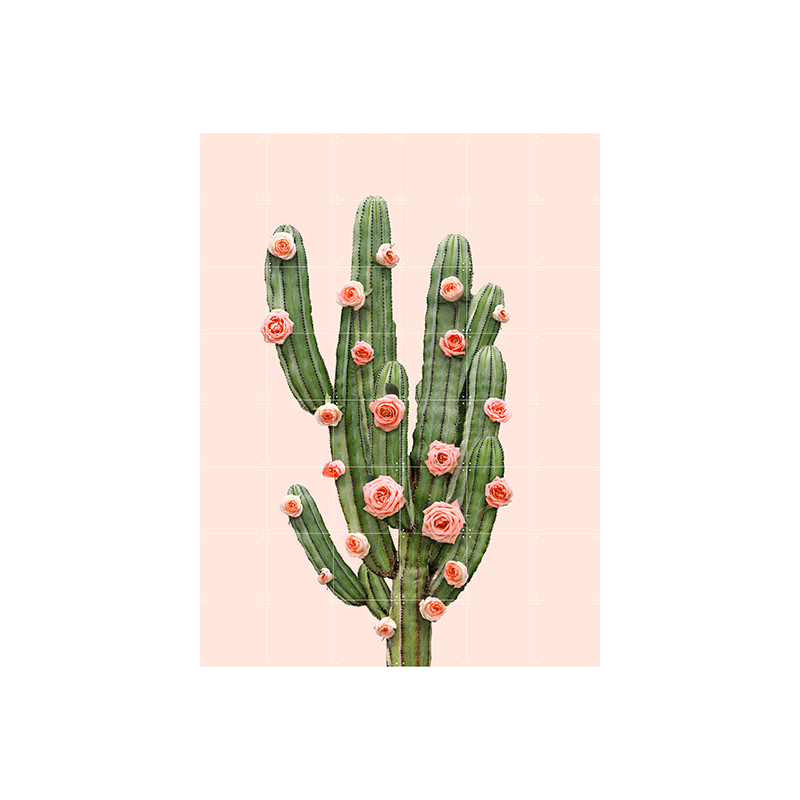 Cactus & Balloons - large
