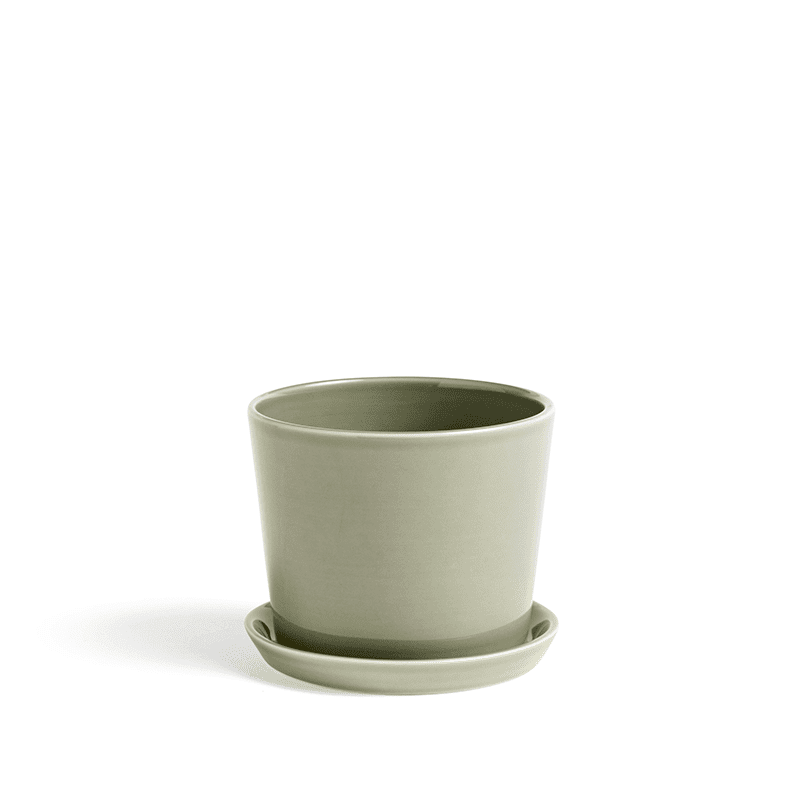 Botanical Family Set M - Dusty green