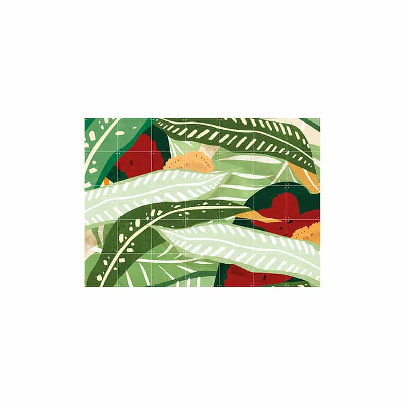 Jungle Flowers 1