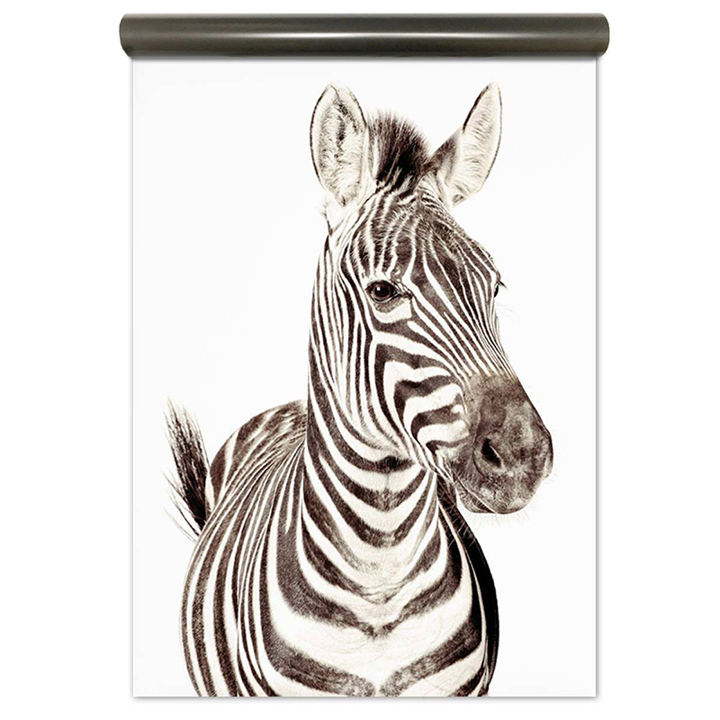 Magneet behang premium - Zebra