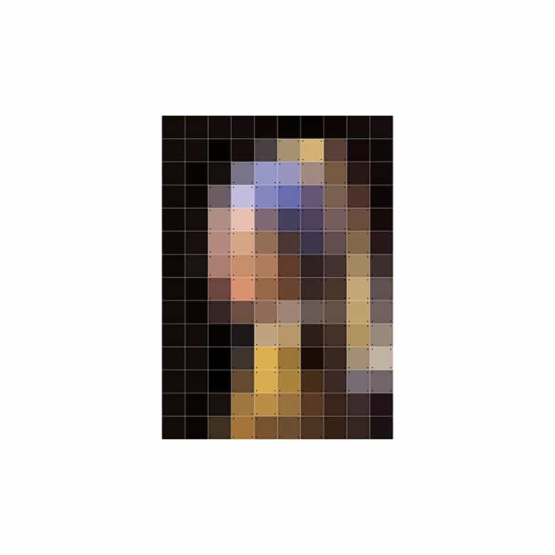 Girl with a Pearl Earring pixel - small