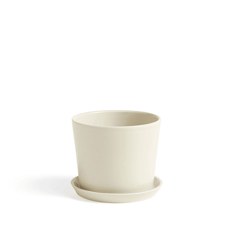 Botanical Family Set M - Off-white
