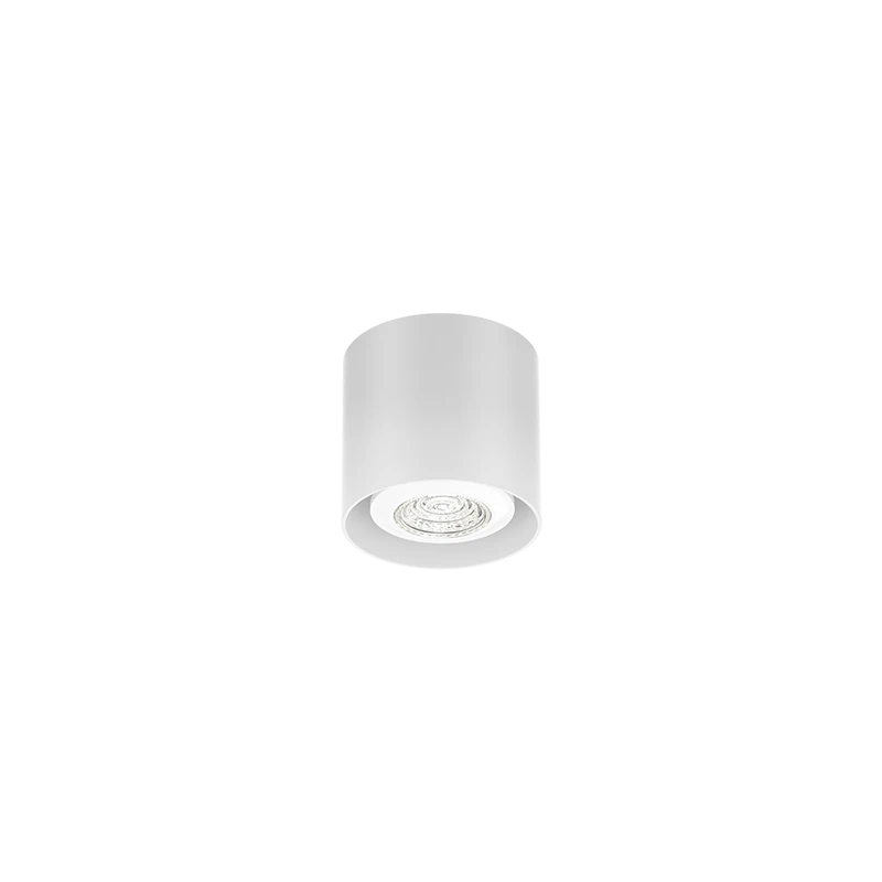 Ray mini 1.0 PAR16 plafondspot - White