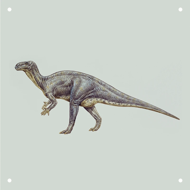 Dino World