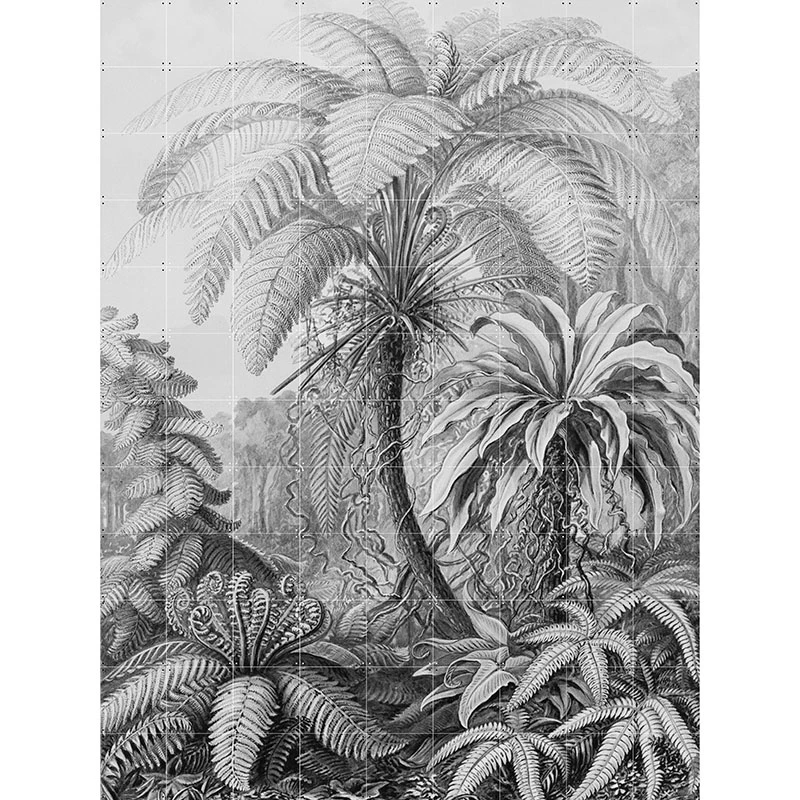 Ferns - extra large