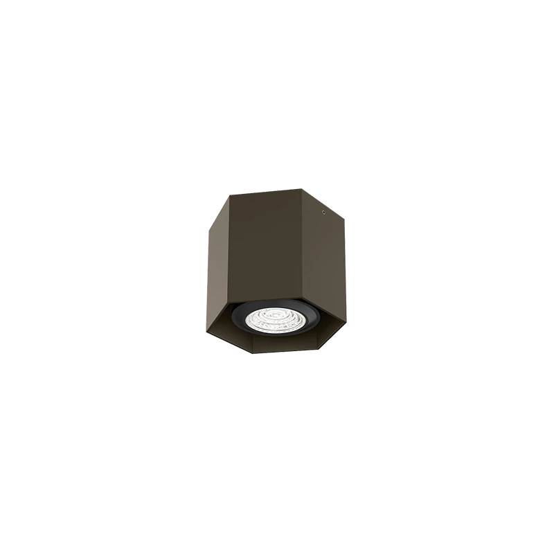 Hexo mini 1.0 PAR16 plafondspot - Brown