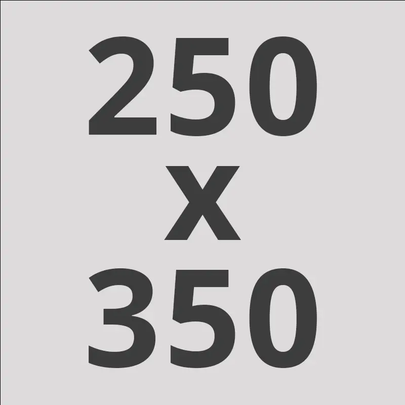 Bitts vloerkleed - 250 x 350