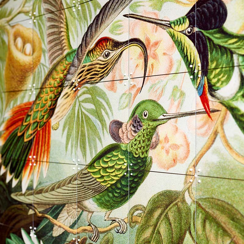 Hummingbirds - extra large