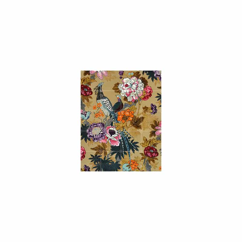 Tropical Birds - small