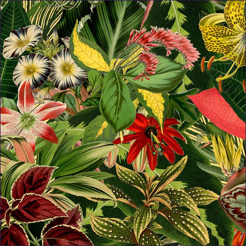 Vloerkleed Herbarium of Extinct Plants