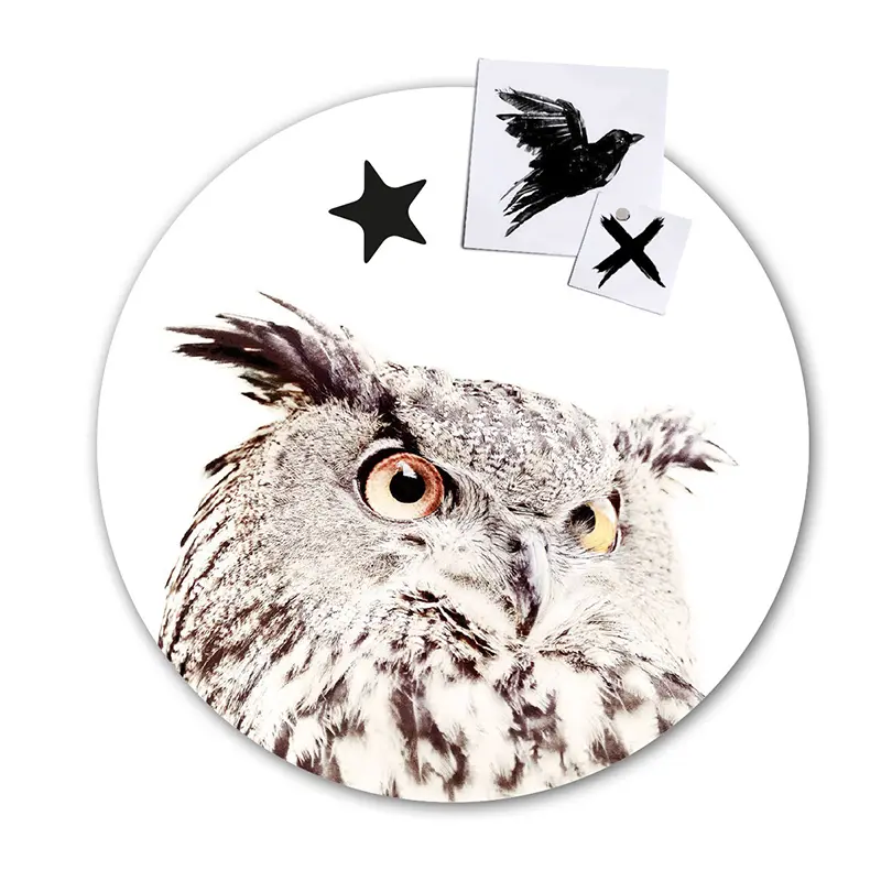 Magneet sticker - Uil