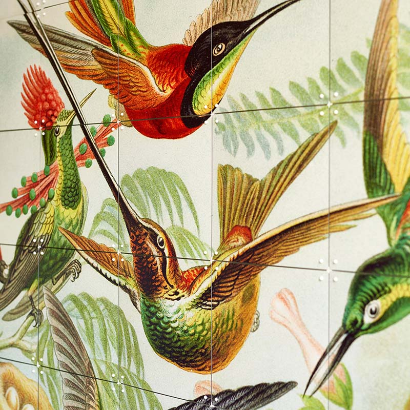 Hummingbirds - extra large