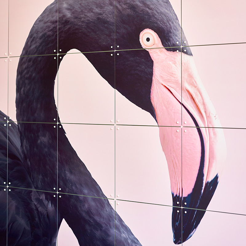 Black flamingo - small