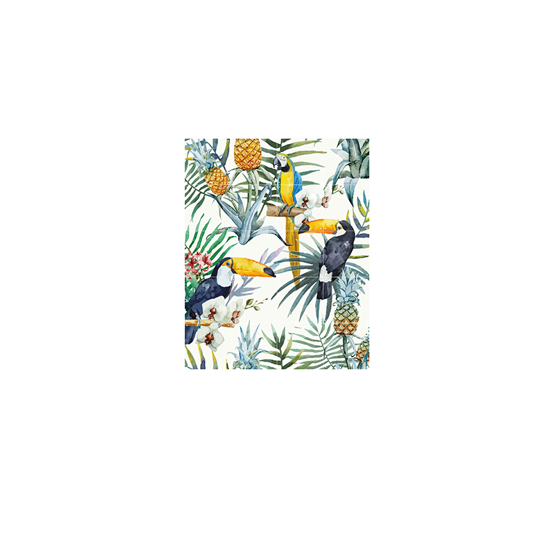 Tiger jungle & Toucan family - small