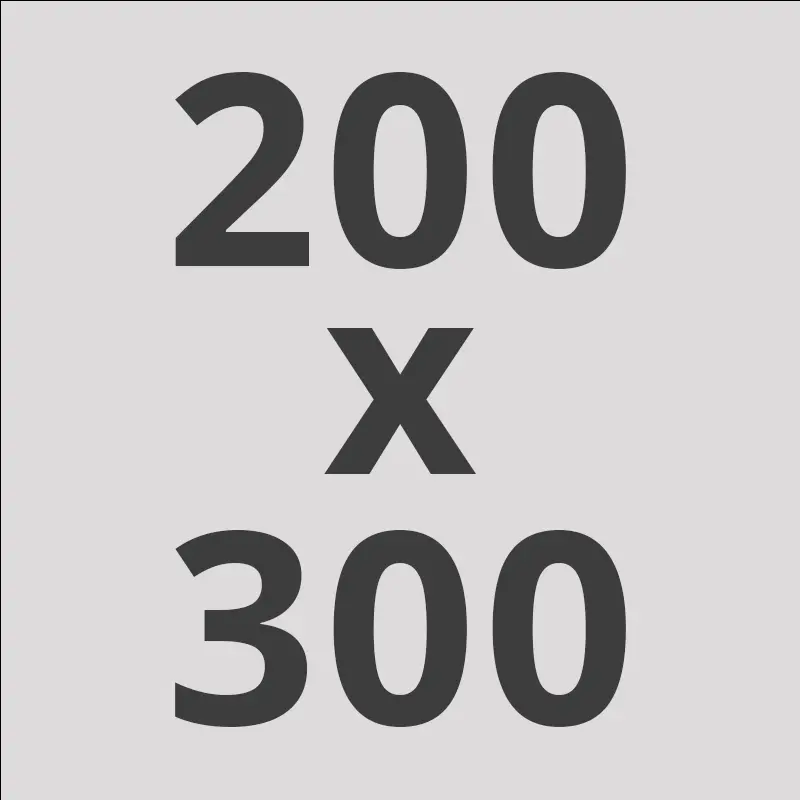 Bitts vloerkleed - 200 x 300