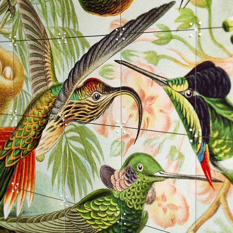 Hummingbirds - extra large