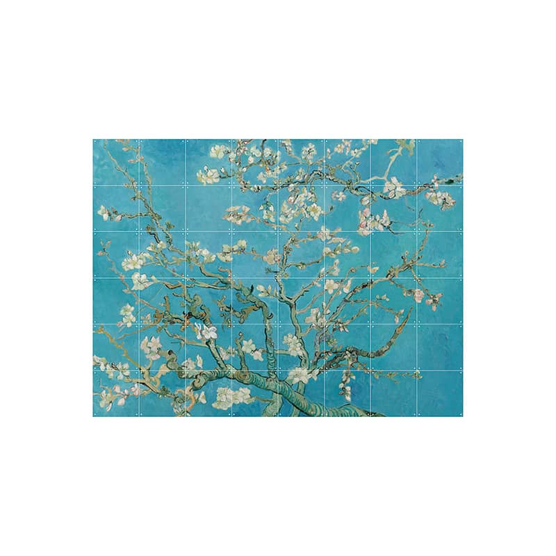 Almond Blossom - large