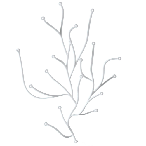 Algue box of 25 - White