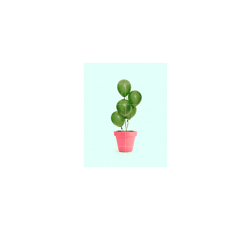Cactus & Balloons - small