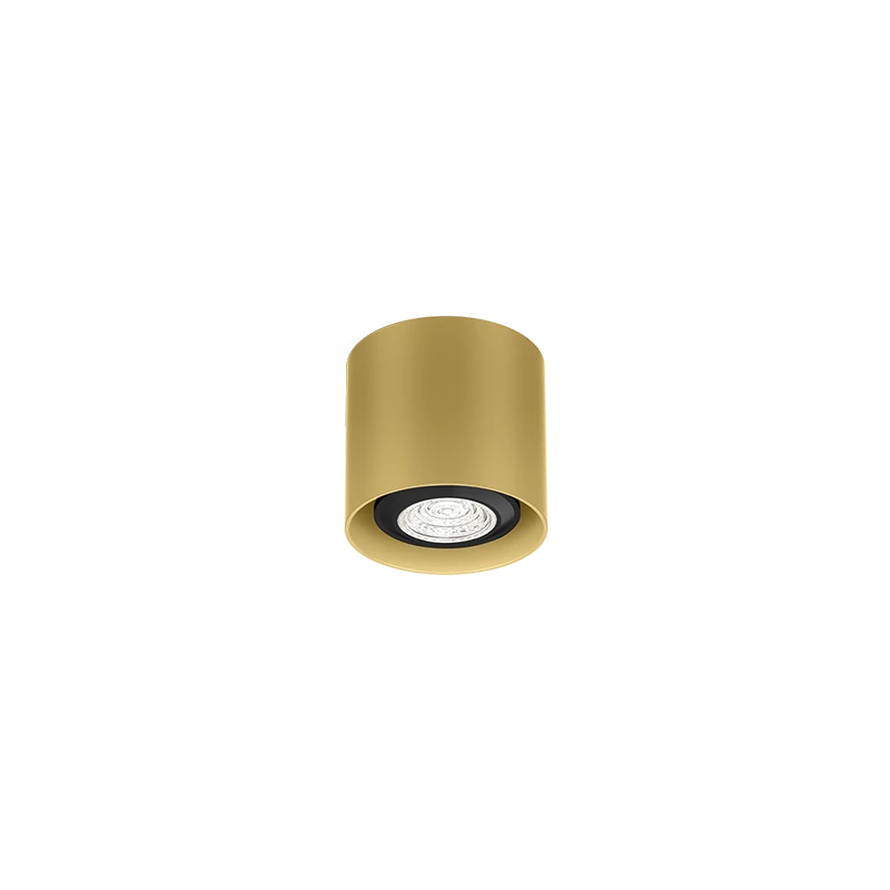 Ray mini 1.0 PAR16 plafondspot - Gold