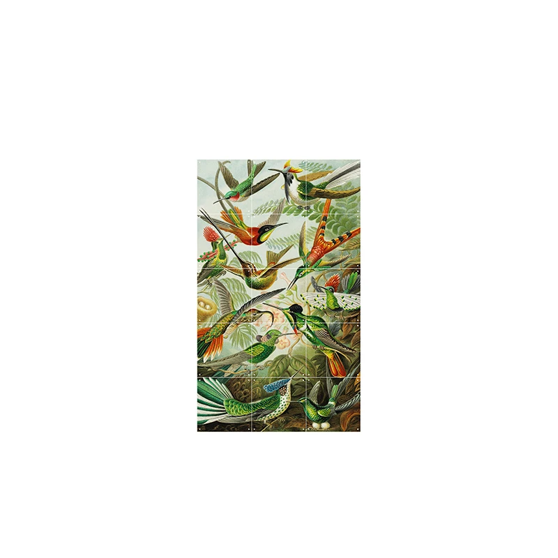 Hummingbirds - small