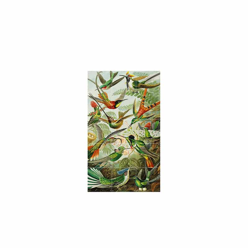 Hummingbirds - small
