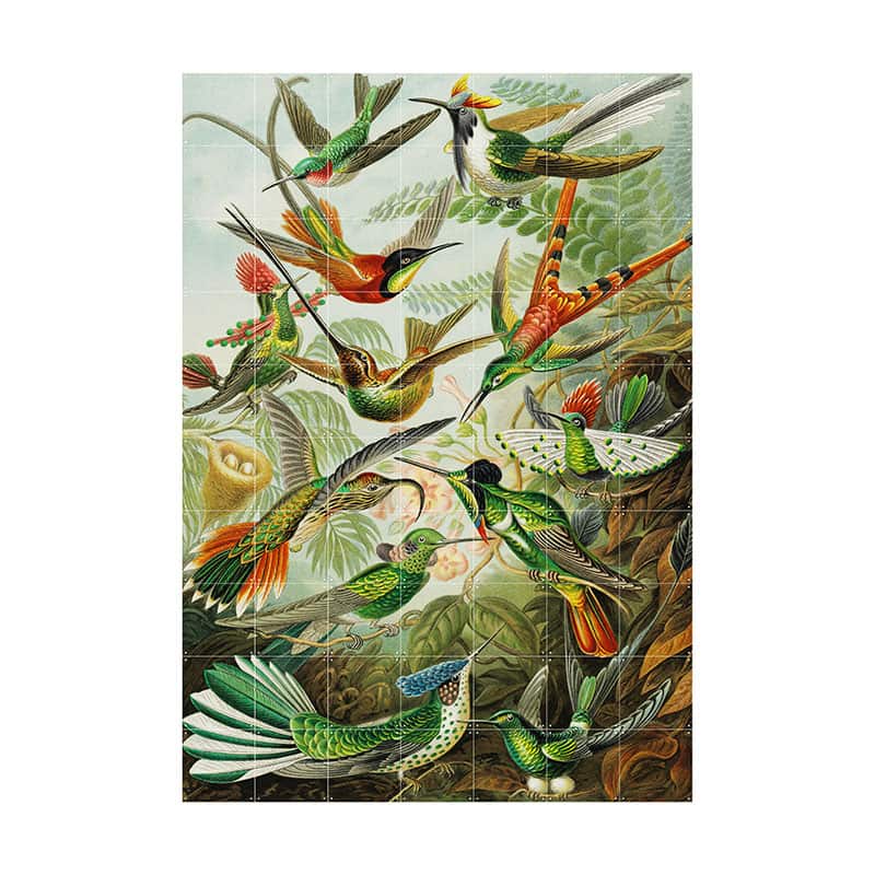 Hummingbirds - extra large