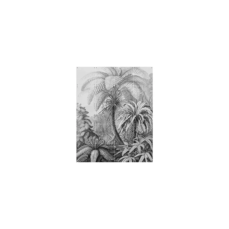 Ferns - small