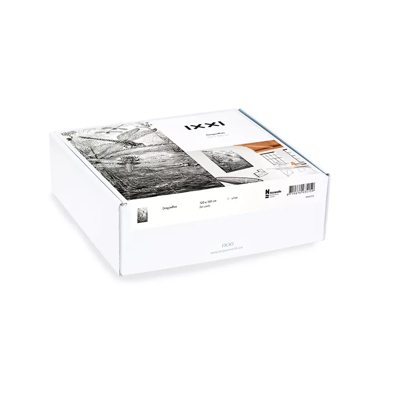 Dragonflies - large