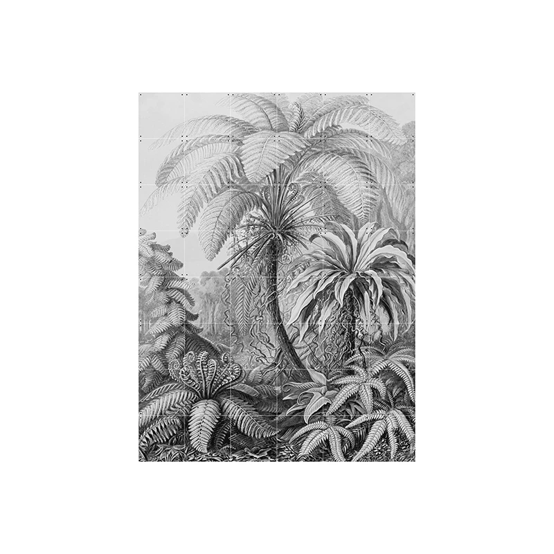 Ferns - large