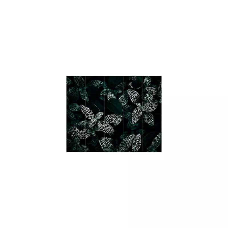 Cactus and leaves - small