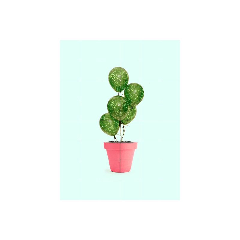 Cactus & Balloons - large