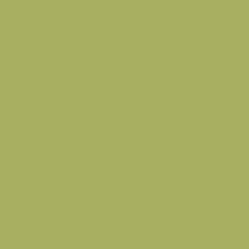 Muurverf Absolute matt emulsion - Groen
