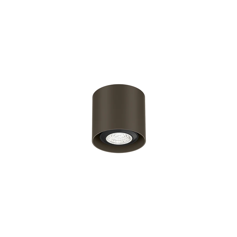 Ray mini 1.0 PAR16 plafondspot - Brown