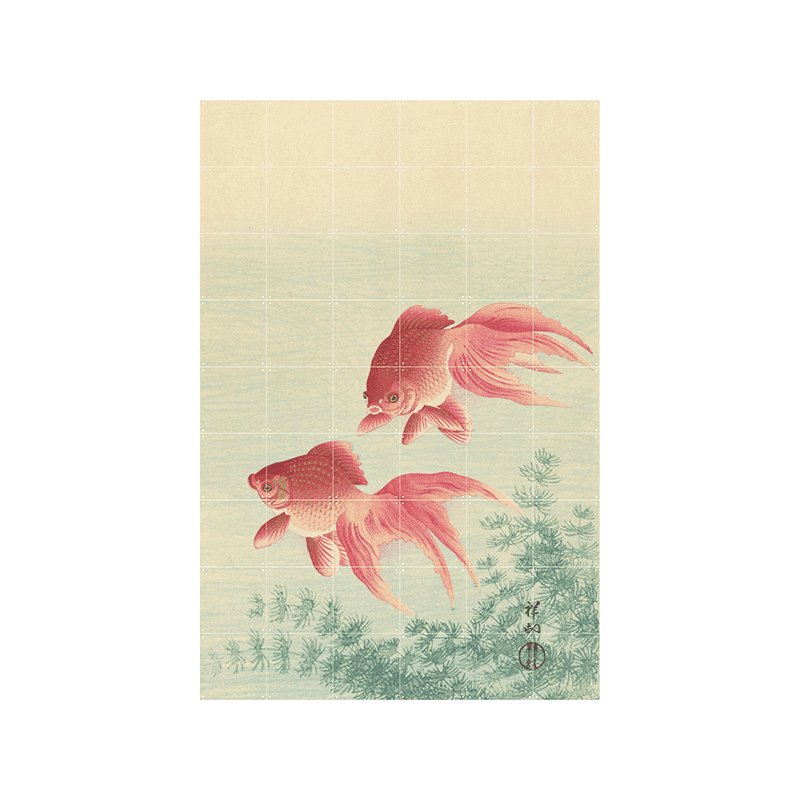 Two Goldfish - large