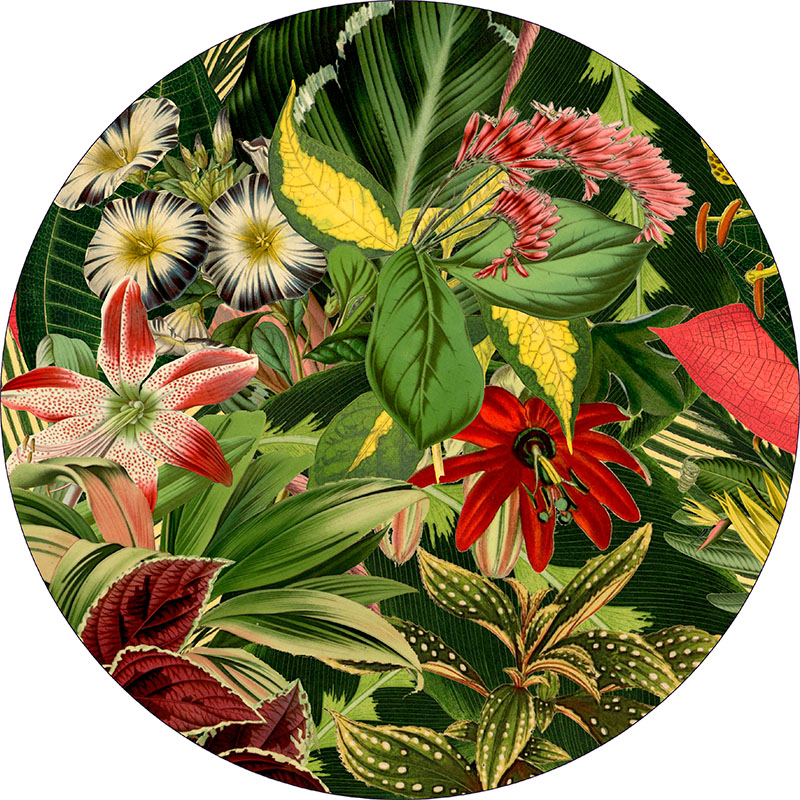 Vloerkleed Herbarium of Extinct Plants